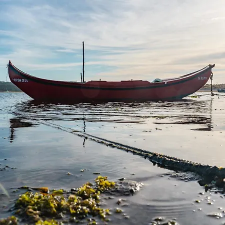 Casa Do Cruzeiro - By Sch ヴィラ